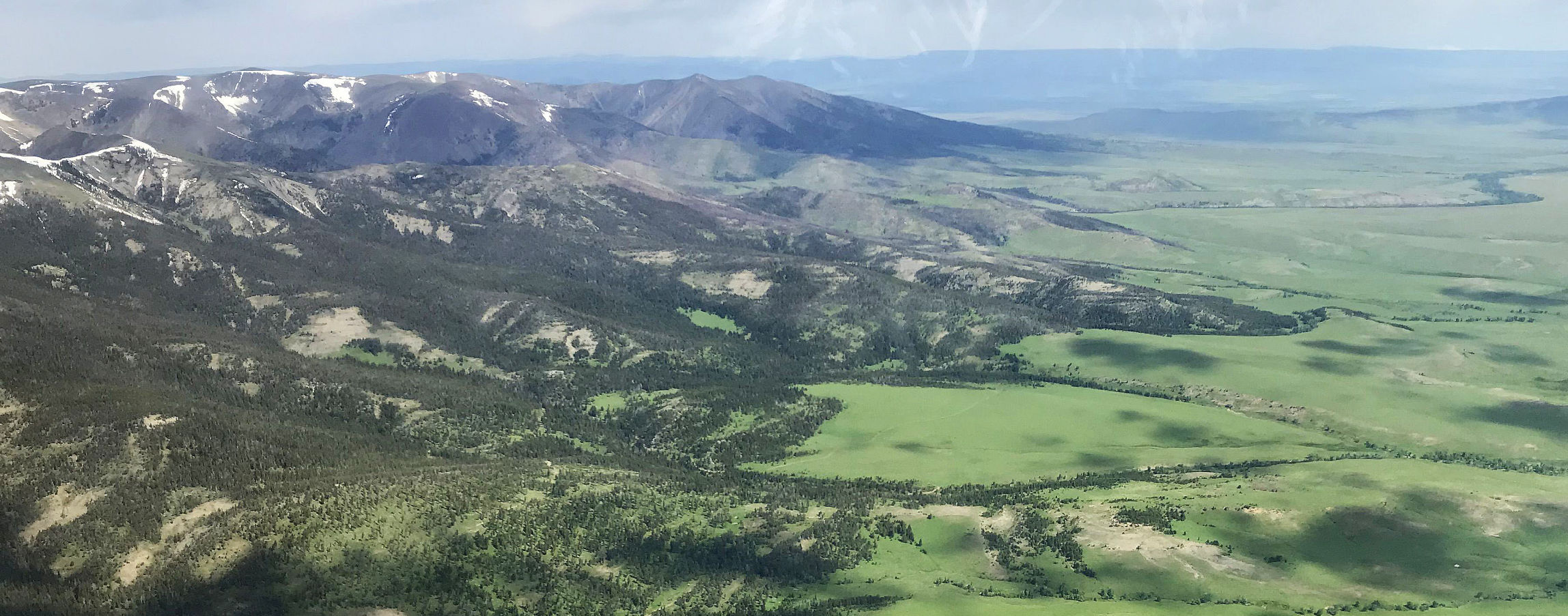 Foothills